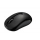  Rapoo M10 Nano Receiver Wireless Mouse