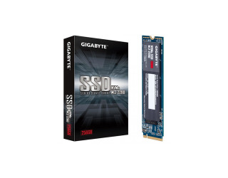 Gigabyte 256GB NVMe M.2 SSD (GP-GSM2NE3256GNTD)